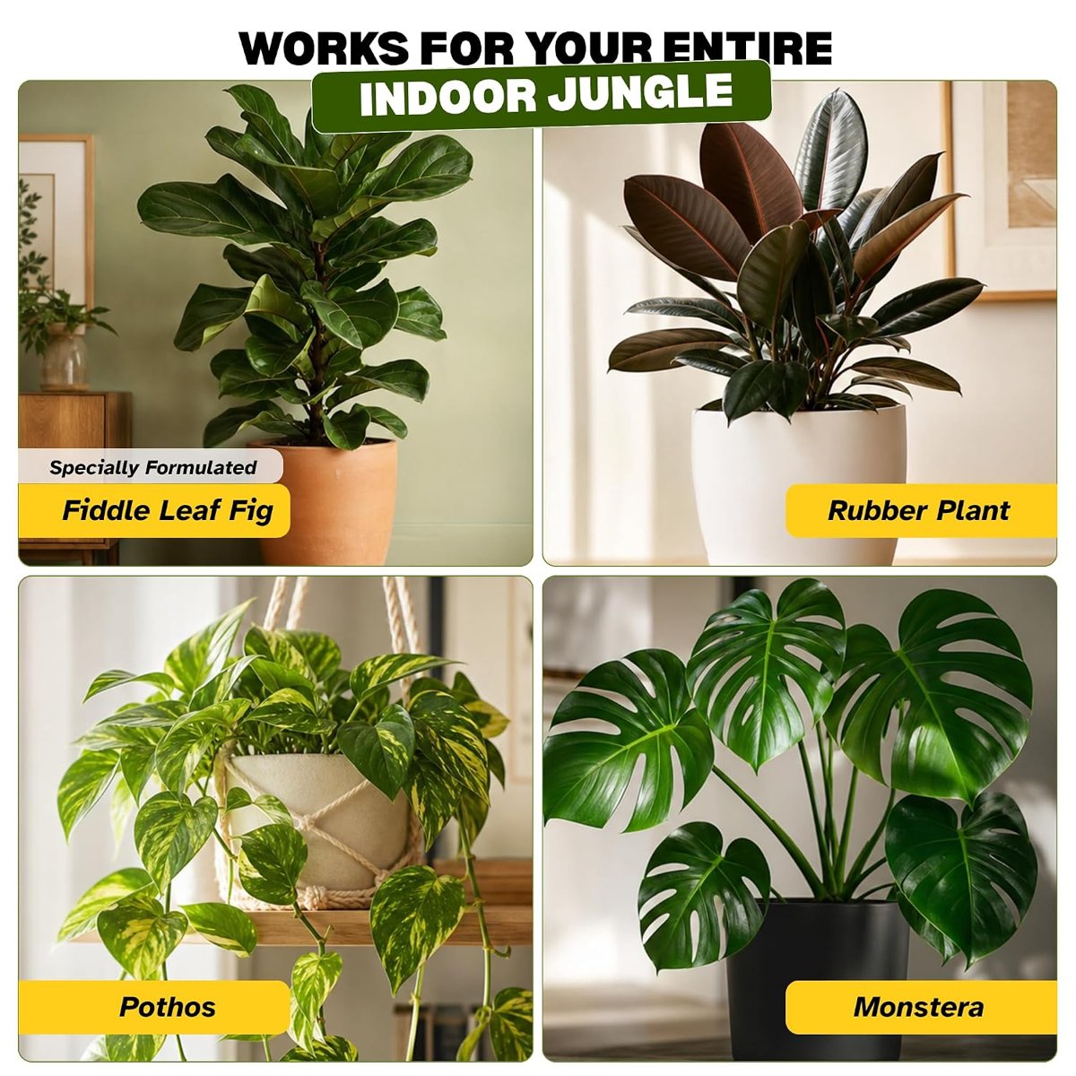 Works for your jungle